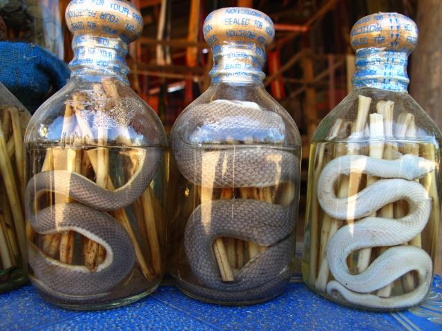 Name:  IMG_3434.jpg
Views: 15639
Size:  60.3 KB