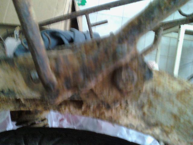 Name:  110307_115229.jpg
Views: 943
Size:  35.4 KB