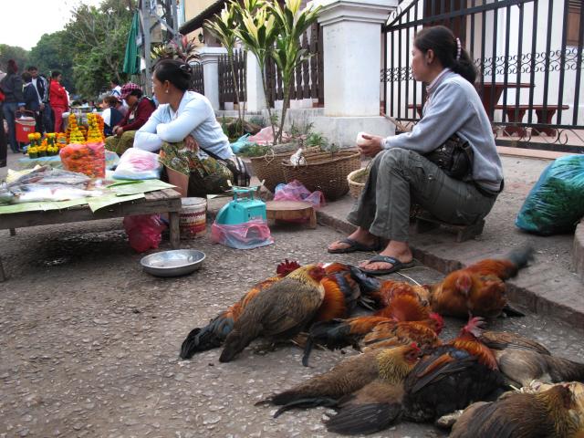 Name:  IMG_3488.jpg
Views: 1491
Size:  71.9 KB