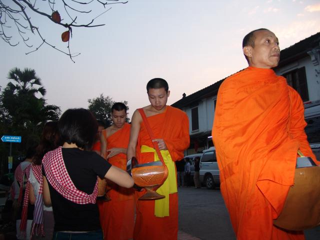 Name:  DSC00310.jpg
Views: 1405
Size:  39.8 KB