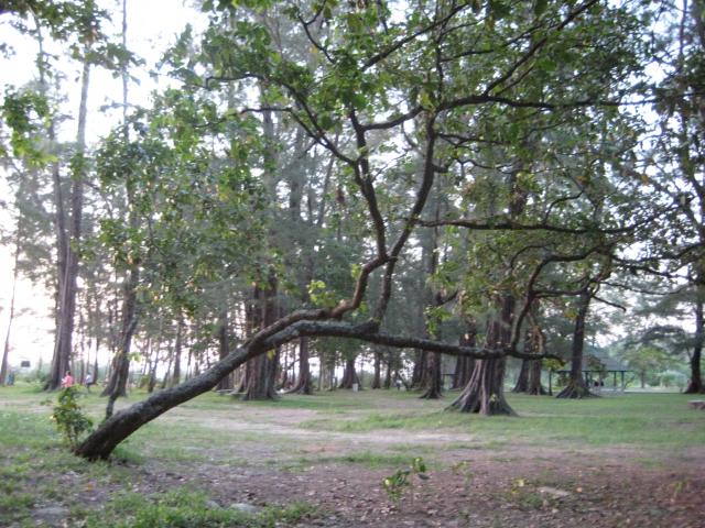 Name:   126.jpg
Views: 196
Size:  77.5 KB