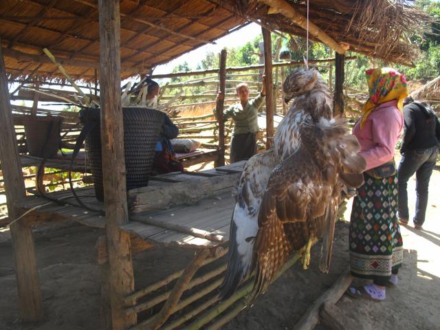 Name:  IMG_3283.jpg
Views: 1303
Size:  62.2 KB