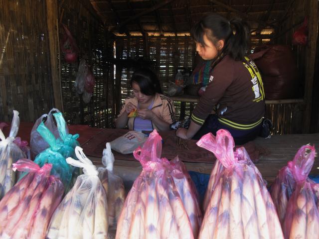 Name:  IMG_3287.jpg
Views: 1297
Size:  50.1 KB