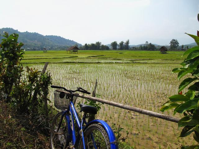 Name:  IMG_3605.jpg
Views: 1294
Size:  63.6 KB