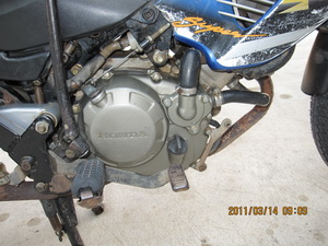 Name:  IMG_1240.jpg
Views: 1931
Size:  49.3 KB