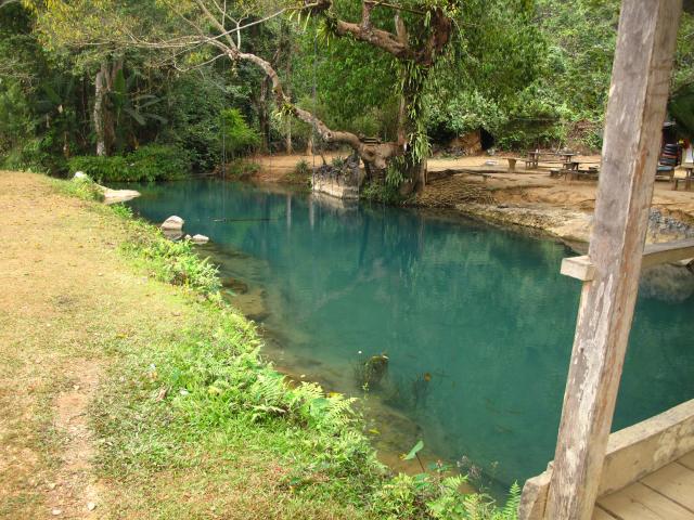 Name:  IMG_4031.jpg
Views: 1291
Size:  76.3 KB