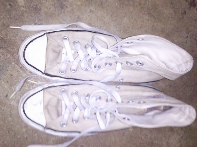 Name:  Photo1275.jpg
Views: 281
Size:  88.6 KB