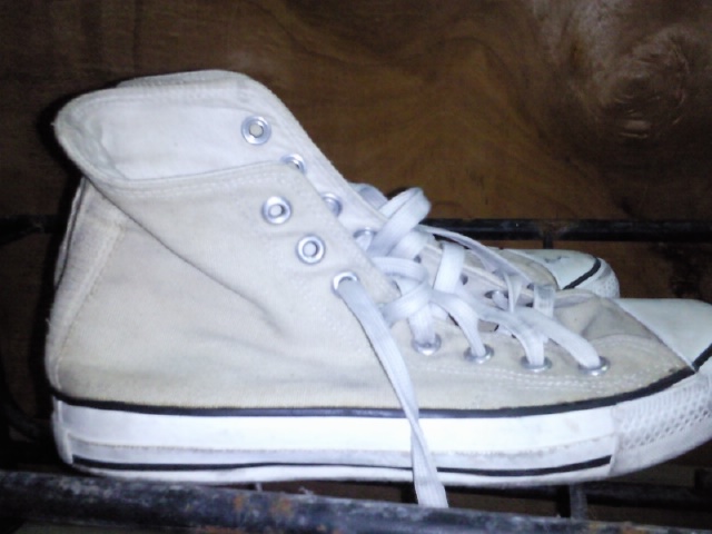 Name:  Photo1253.jpg
Views: 265
Size:  77.7 KB