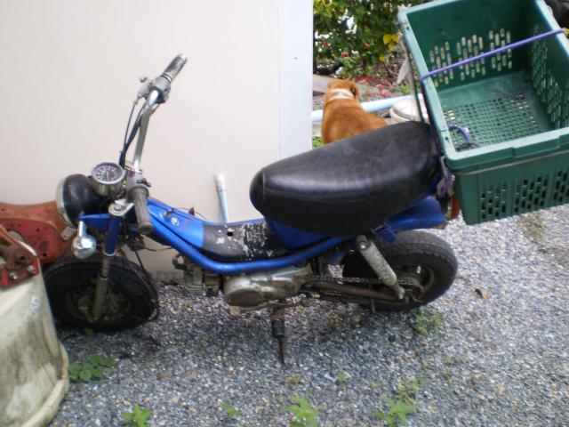 Name:  PA070184.jpg
Views: 294
Size:  53.1 KB