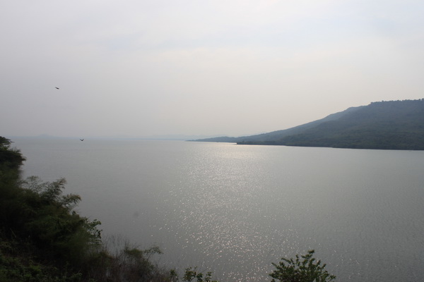 Name:  IMG_4012.jpg
Views: 395
Size:  56.2 KB