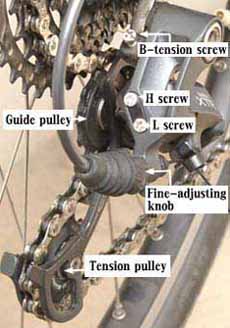 Name:  rear_der.jpg
Views: 2691
Size:  20.5 KB