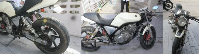 Name:  cats.jpg
Views: 510
Size:  25.8 KB