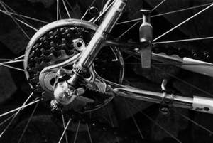 Name:  campag3-400.jpg
Views: 1036
Size:  11.0 KB