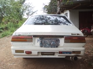 Name:  SP_A0151.jpg
Views: 3114
Size:  25.7 KB