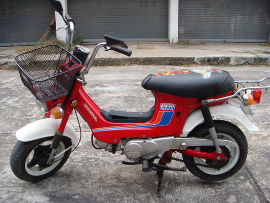 Name:  DSC02878_resize.JPG
Views: 69
Size:  124.6 KB