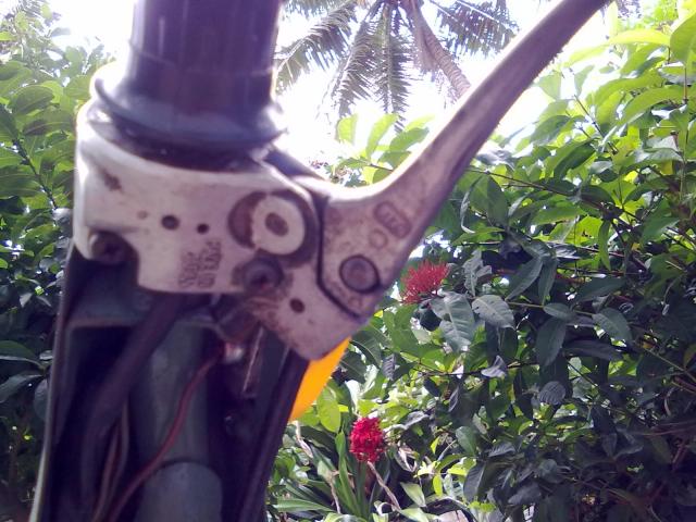Name:  27032011902.jpg
Views: 2282
Size:  60.1 KB