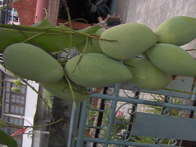 Name:  07-06-2010 043.jpg
Views: 1703
Size:  128.6 KB