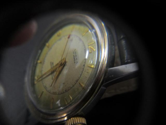 Name:  SAM_0455 (Medium).jpg
Views: 594
Size:  19.5 KB