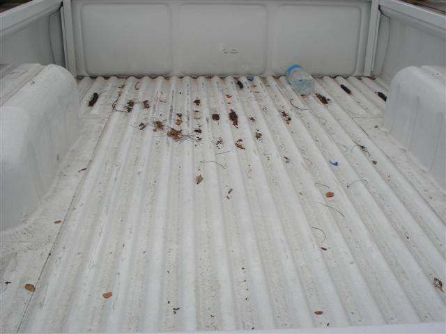 Name:  DSC01552 (Small).JPG
Views: 1509
Size:  40.3 KB