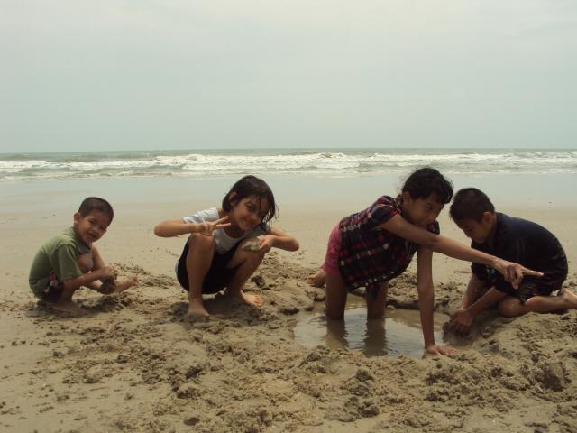 Name:  DSC08519.jpg
Views: 242
Size:  39.8 KB