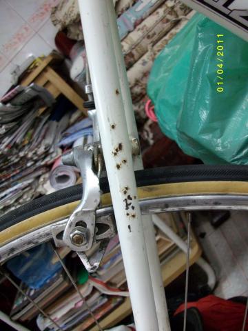 Name:  SANY0303_resize.jpg
Views: 993
Size:  31.9 KB