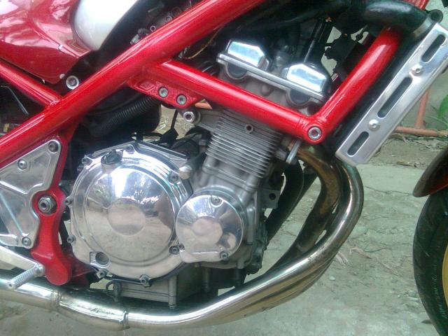 Name:  `PoPPuLa`0071.jpg
Views: 910
Size:  58.3 KB