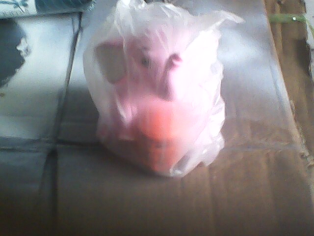 Name:  IMG0938A.jpg
Views: 1386
Size:  42.8 KB