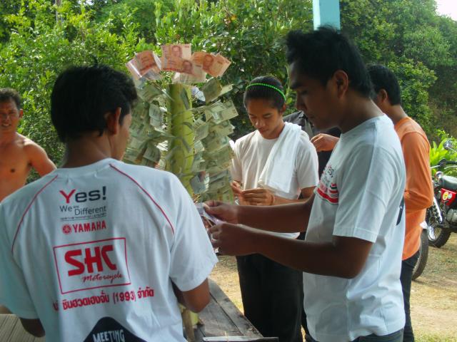 Name:  AMBA0229.jpg
Views: 1057
Size:  58.4 KB