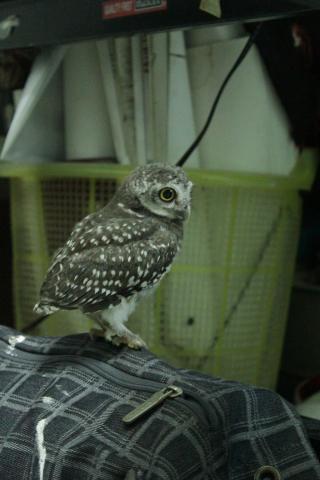 Name:  IMG_0504.jpg
Views: 1938
Size:  20.6 KB