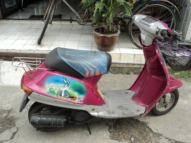 Name:  DSC00246.jpg
Views: 1185
Size:  58.1 KB