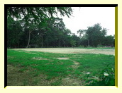 Name:  SDC11366.jpg
Views: 77
Size:  40.3 KB