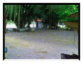 Name:  SDC11376.jpg
Views: 69
Size:  40.4 KB