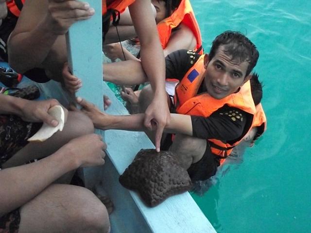 Name:  DSCF4594.jpg
Views: 447
Size:  41.2 KB