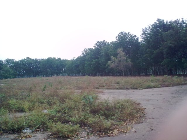 Name:  Ҿ1772.jpg
Views: 155
Size:  50.9 KB