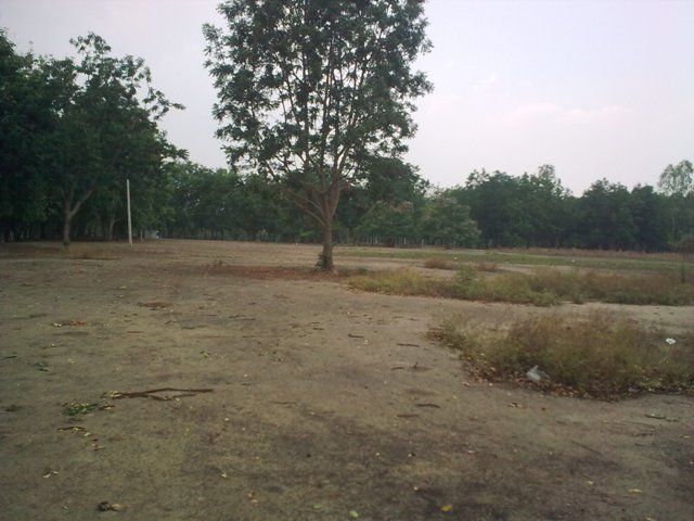 Name:  Ҿ1773.jpg
Views: 381
Size:  60.9 KB