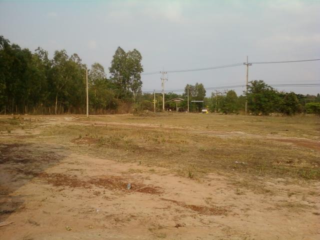Name:  Photo-0003.jpg
Views: 105
Size:  41.0 KB
