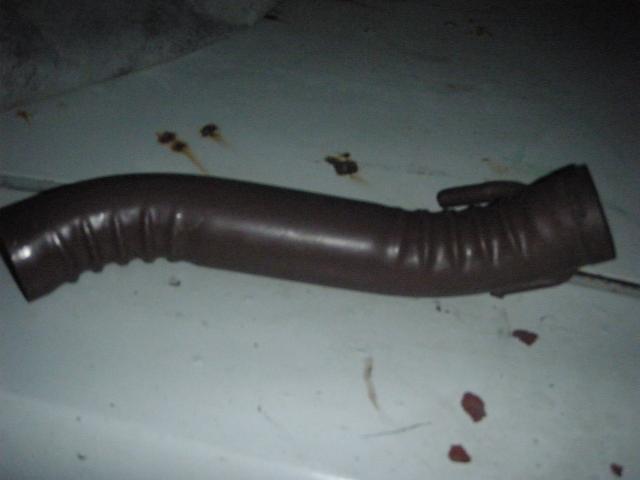 Name:  P4202489.jpg
Views: 380
Size:  20.9 KB