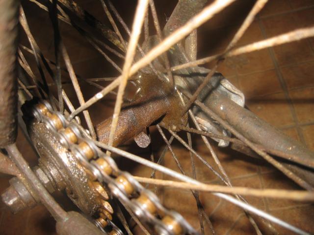 Name:  IMG_0961.jpg
Views: 714
Size:  47.5 KB