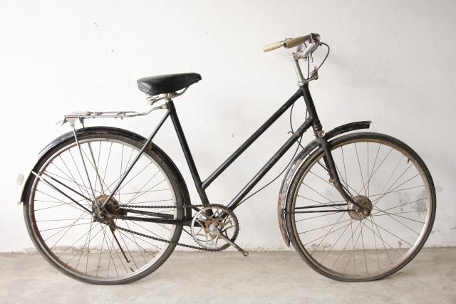 Name:  _MG_1944.jpg
Views: 1970
Size:  39.1 KB