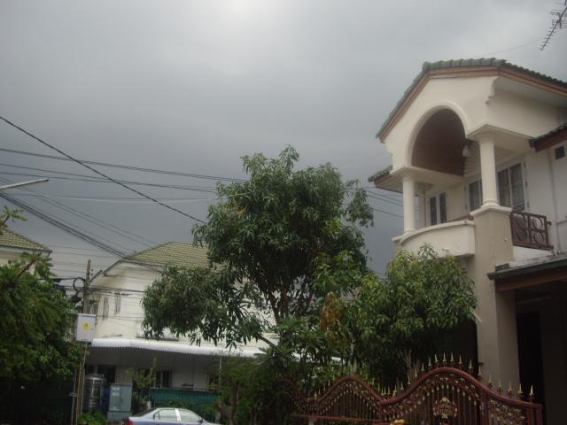 Name:  IMGP1419.jpg
Views: 122
Size:  39.7 KB