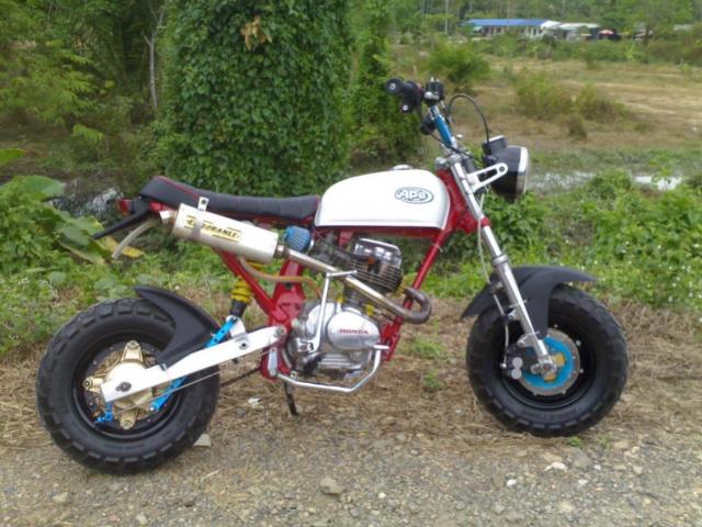 Name:  ape110.jpg
Views: 53
Size:  60.8 KB
