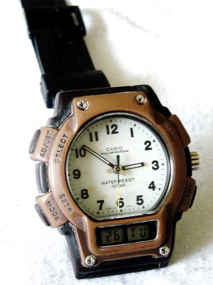 Name:  DSCN6913.JPG
Views: 2078
Size:  50.2 KB