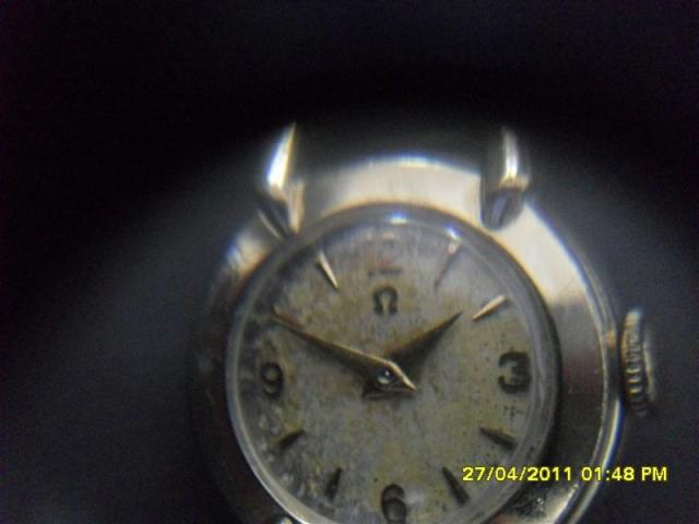 Name:  SDC12976 (Medium).jpg
Views: 585
Size:  26.3 KB