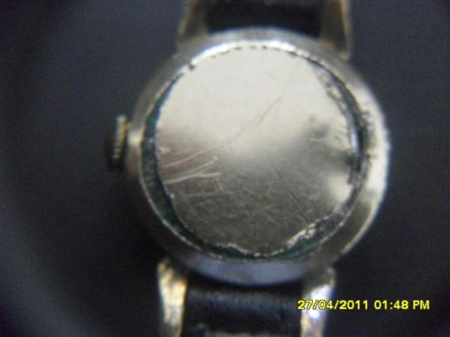 Name:  SDC12981 (Medium).jpg
Views: 603
Size:  26.7 KB