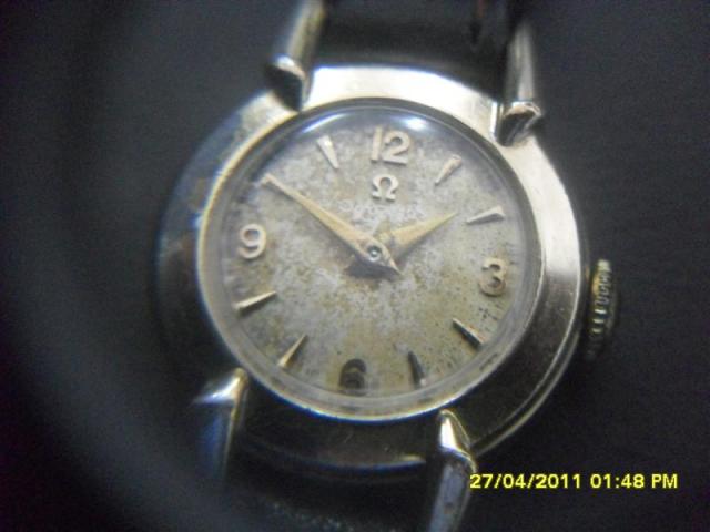 Name:  SDC12982 (Medium).jpg
Views: 602
Size:  31.7 KB