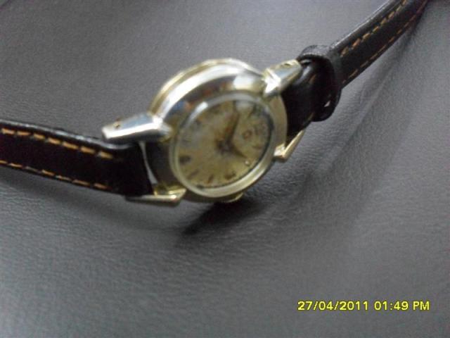 Name:  SDC12986 (Medium).jpg
Views: 936
Size:  31.7 KB