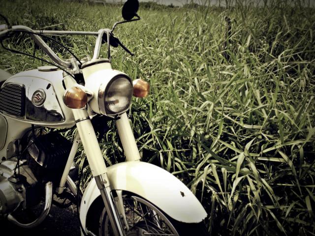 Name:  DSC06458.jpg
Views: 156
Size:  79.9 KB