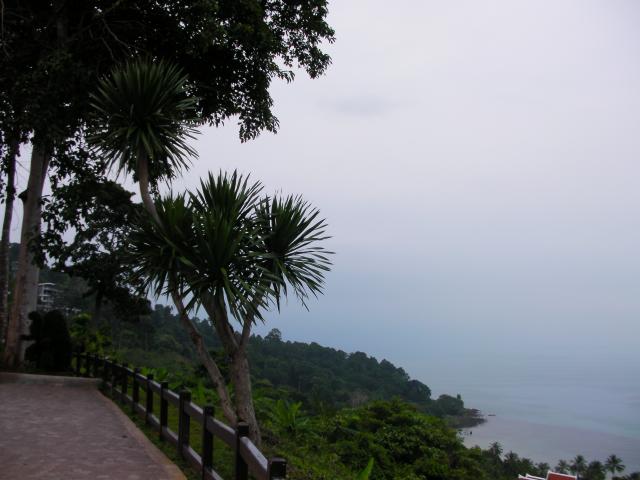 Name:  SANY0132.jpg
Views: 139
Size:  39.5 KB