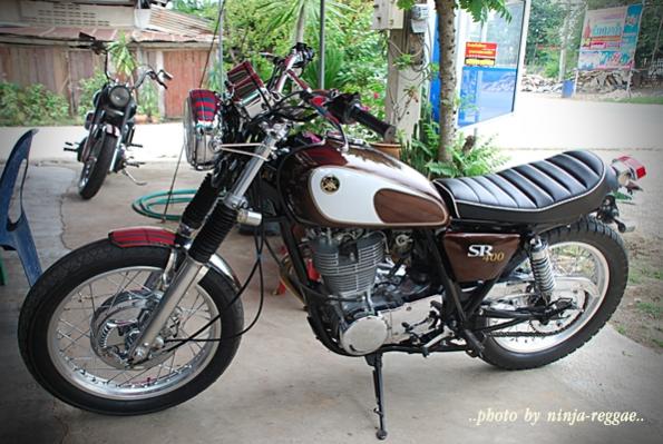 Name:  dsc_0237[1].jpg
Views: 889
Size:  55.8 KB