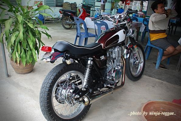 Name:  dsc_0239[1].jpg
Views: 901
Size:  52.6 KB